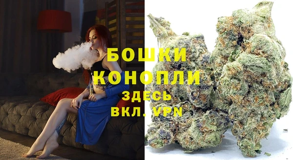 крисы Баксан