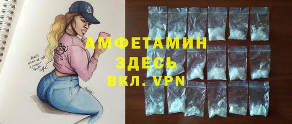 крисы Баксан